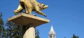UCバークレーはどんな大学？「パブリック・アイビー」の一つして知られる名門大学の魅力を解説